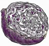 Purple-Cabbage